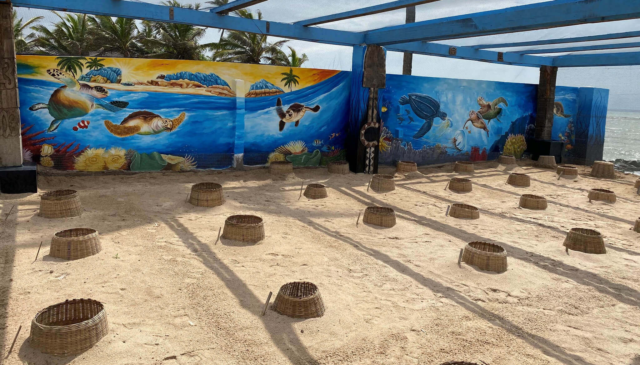 201015-mps-launches-sea-turtle-conservation-program-02