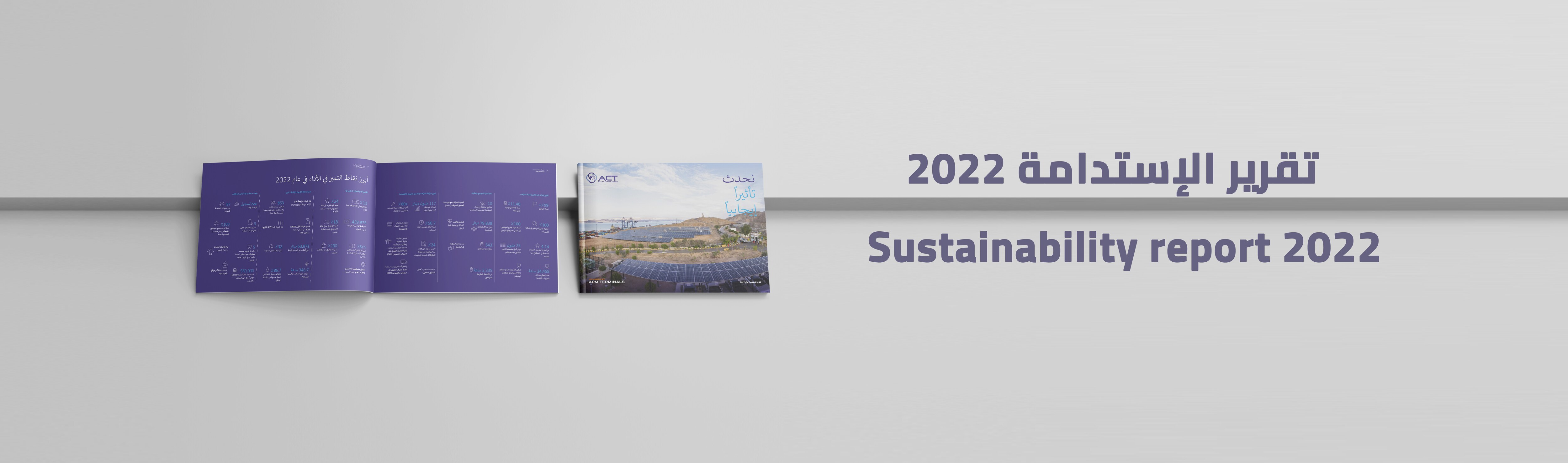 Sustainability 2022