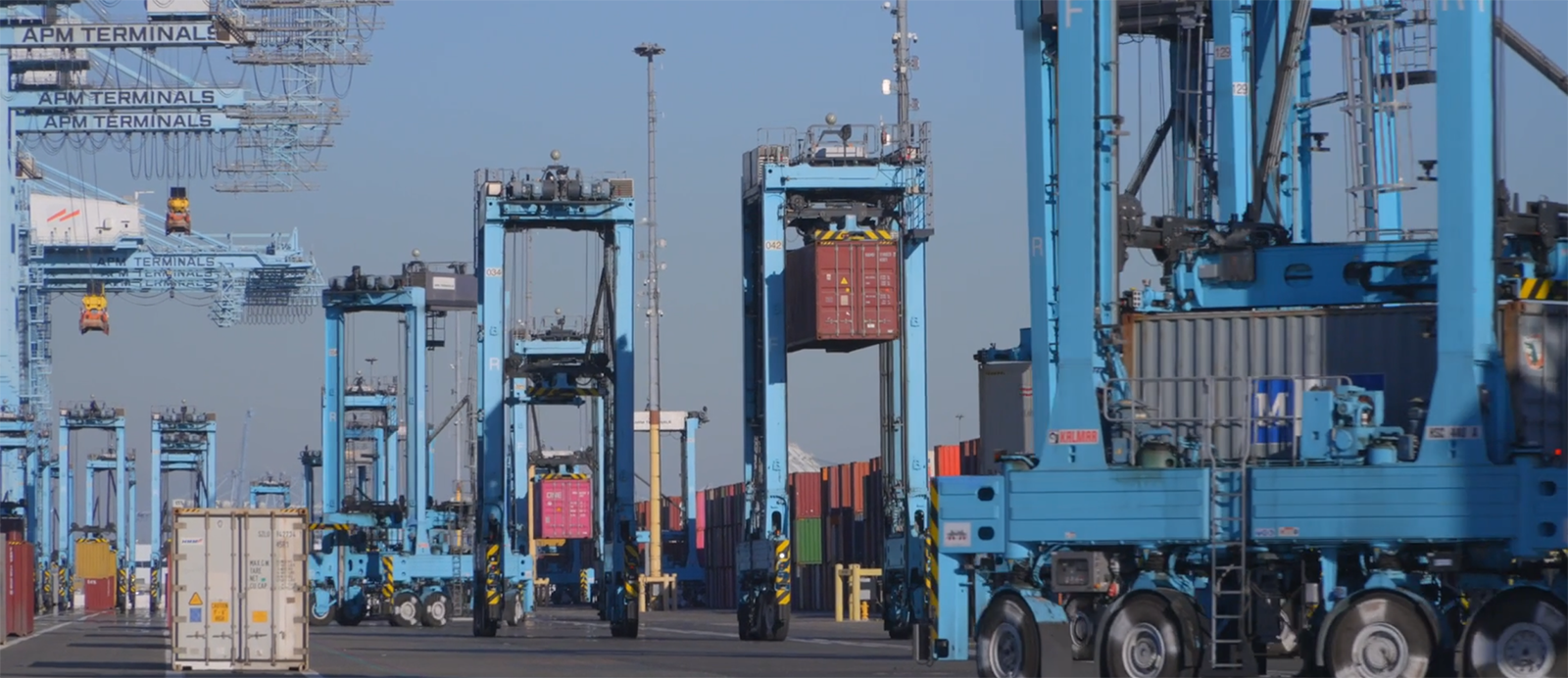 APM Terminals Pier 400 auto-strad