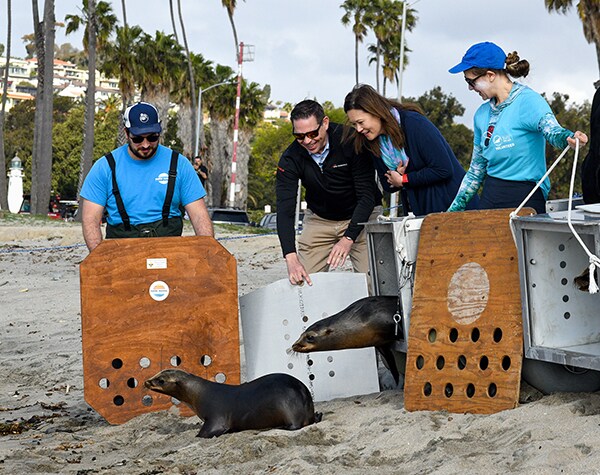 APM Terminals Los Angeles and Marine Mammal Care Center