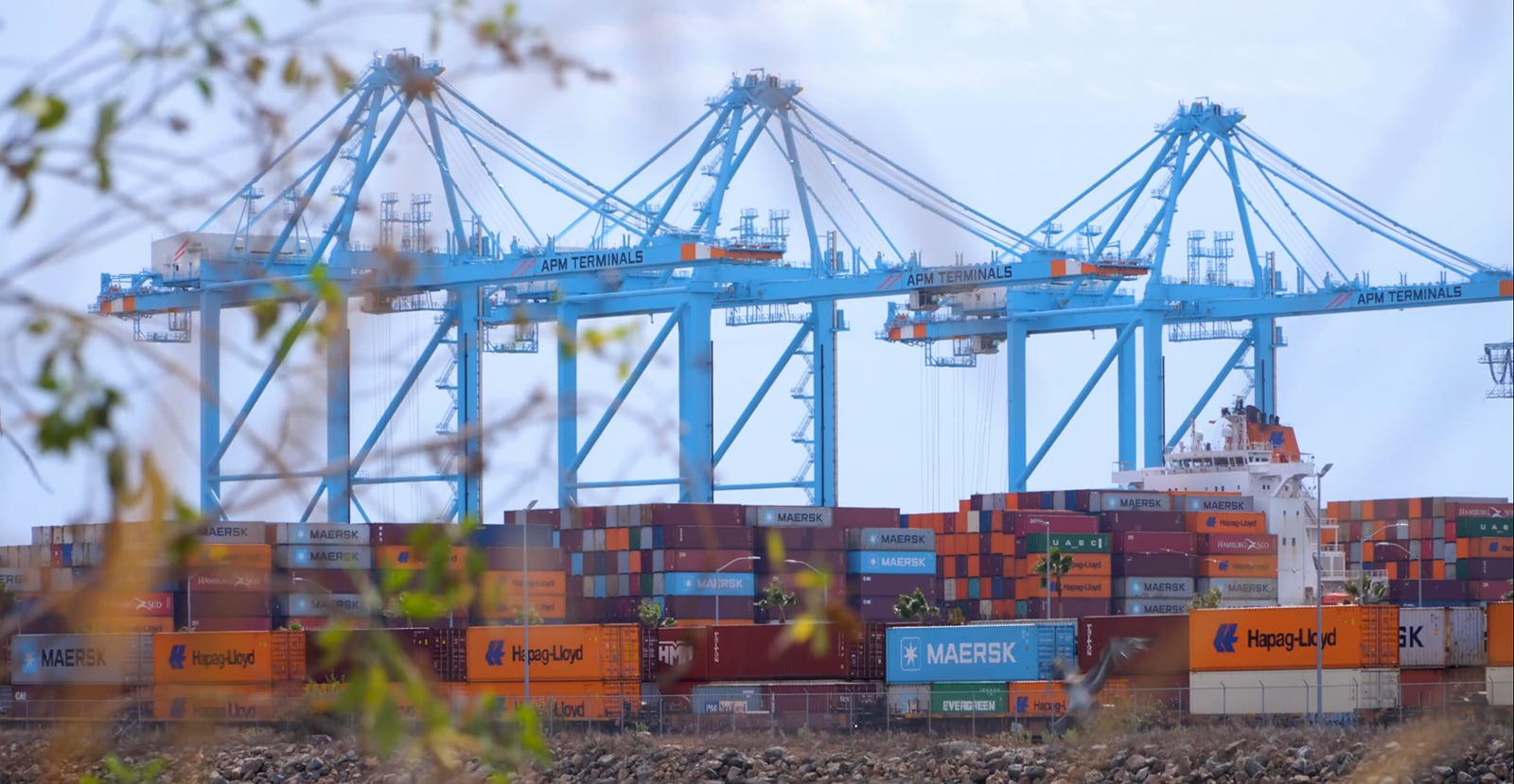 APM Terminals Pier 400 rail