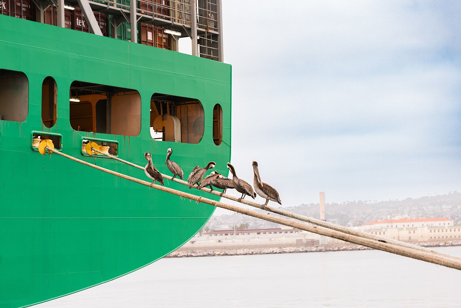 APM Terminals Los Angeles