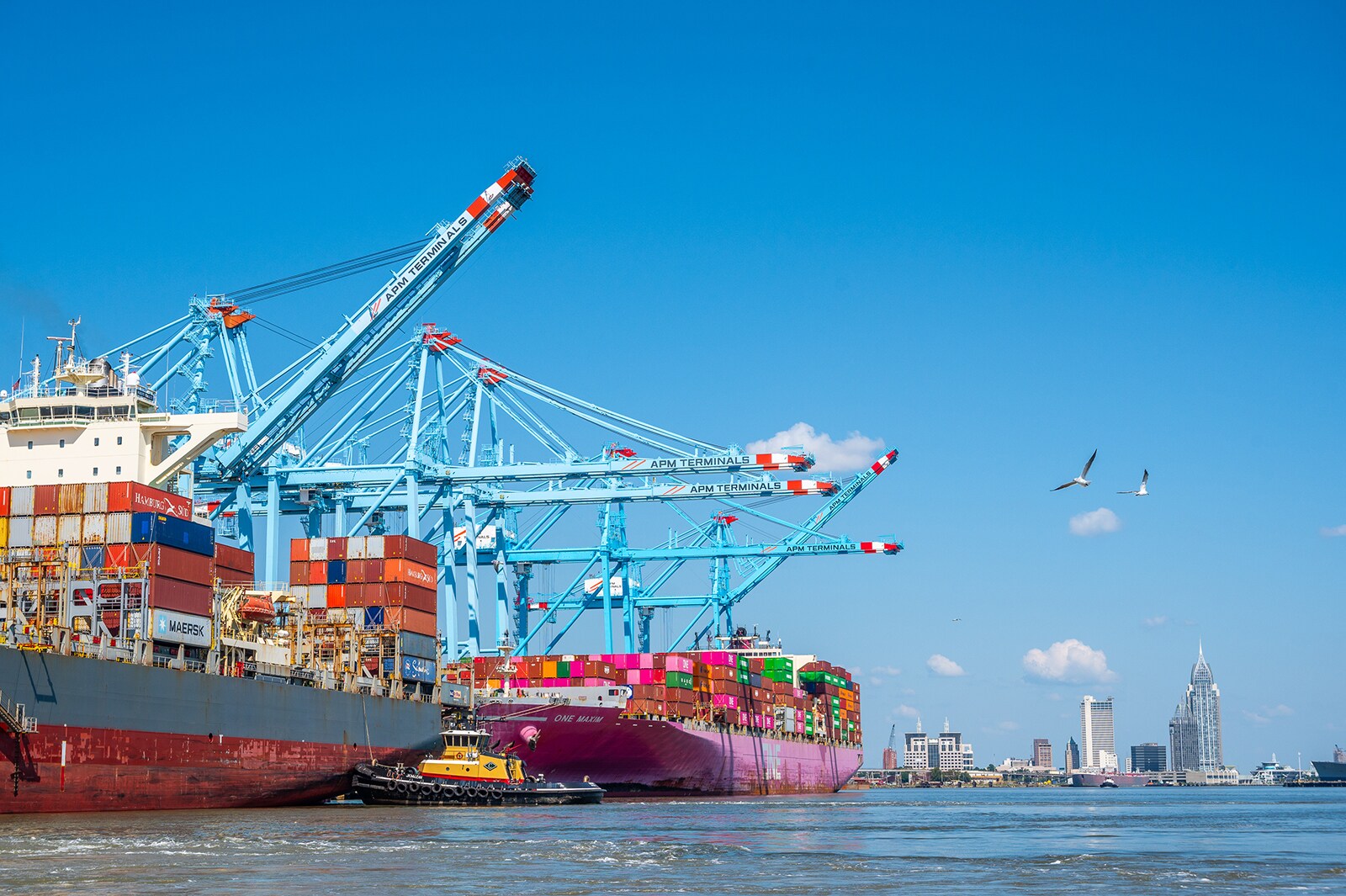 APM Terminals Mobile