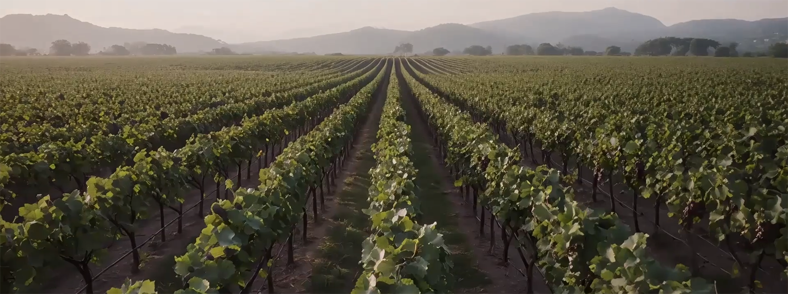 APM Terminals Mumbai