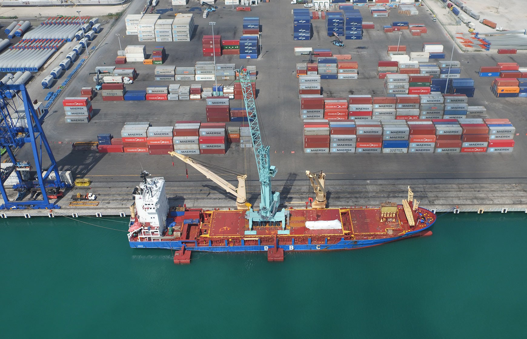 Yucatan Crane
