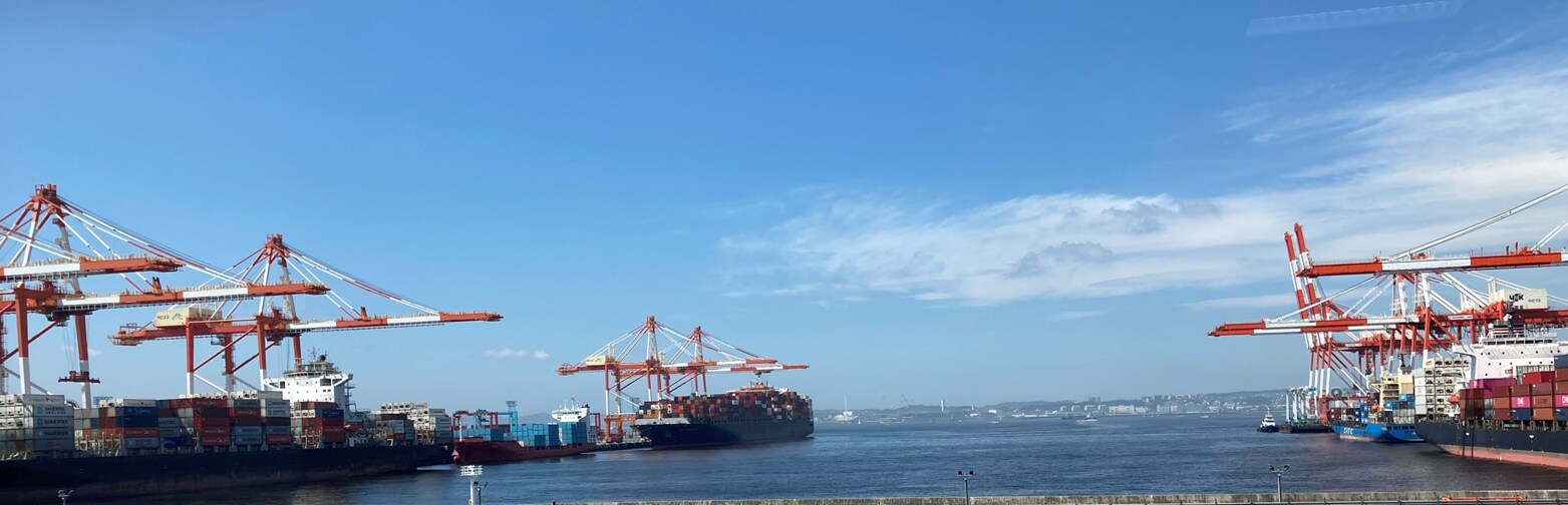 Vessel Schedule APM Terminals